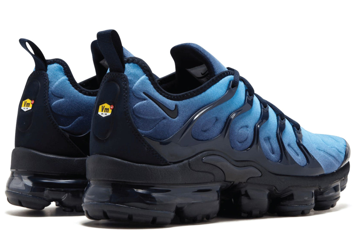 Air VaporMax Plus Photo Blue | Sneakers Forest - Back